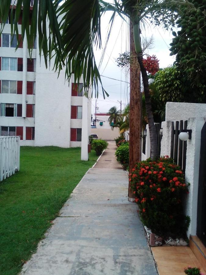 Ferienwohnung Nice Oakwood Constant Spring Rd Apt Kingston Exterior foto